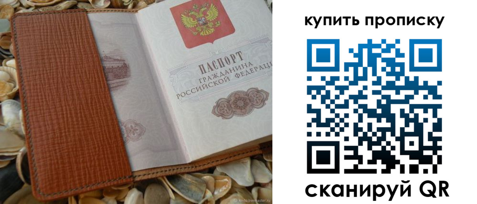 прописка 2025 в Троицке